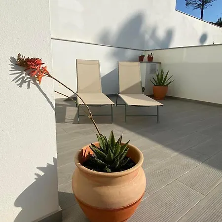 公寓 Colibri Cozy One Bedroom